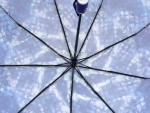 Зонт  женский Umbrellas, арт.530-1_product